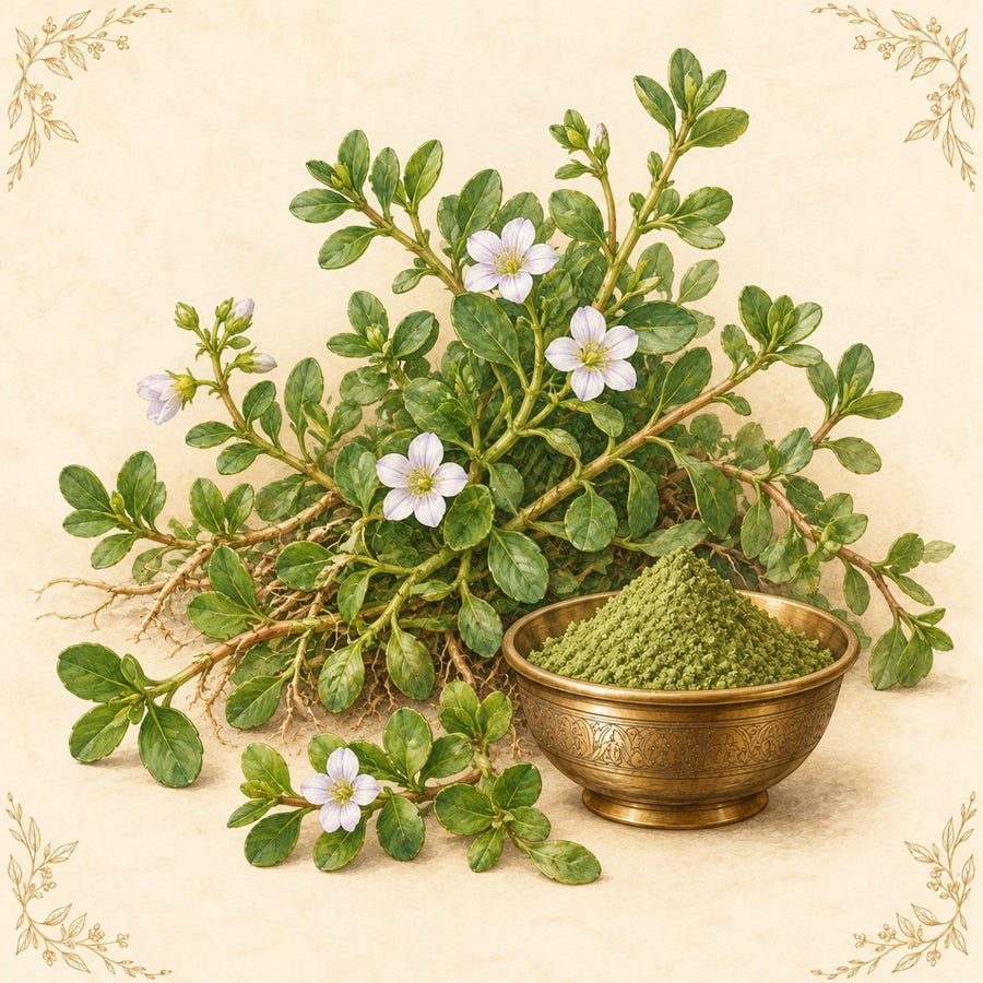 Brahmi