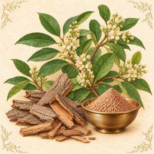 Lodhra bark and powder in a brass bowl