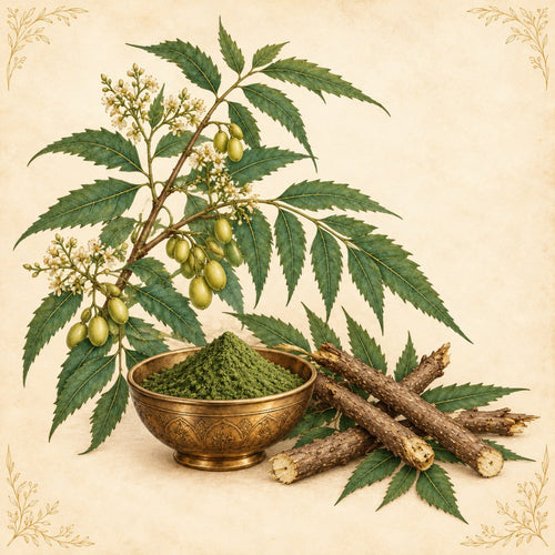 Neem leaves, twigs and powder in a brass bowl